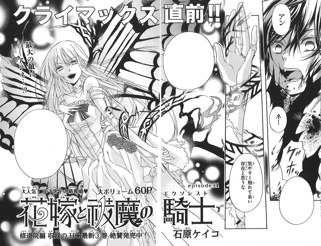 花嫁と祓魔の騎士(エクソシスト) Amazon.co.jp: 花嫁と祓魔の騎士 2 (花とゆめコミックス) eBook