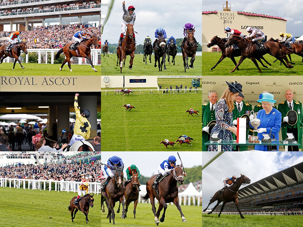 70 days to go...

#RoyalAscot po.st/k97JQR