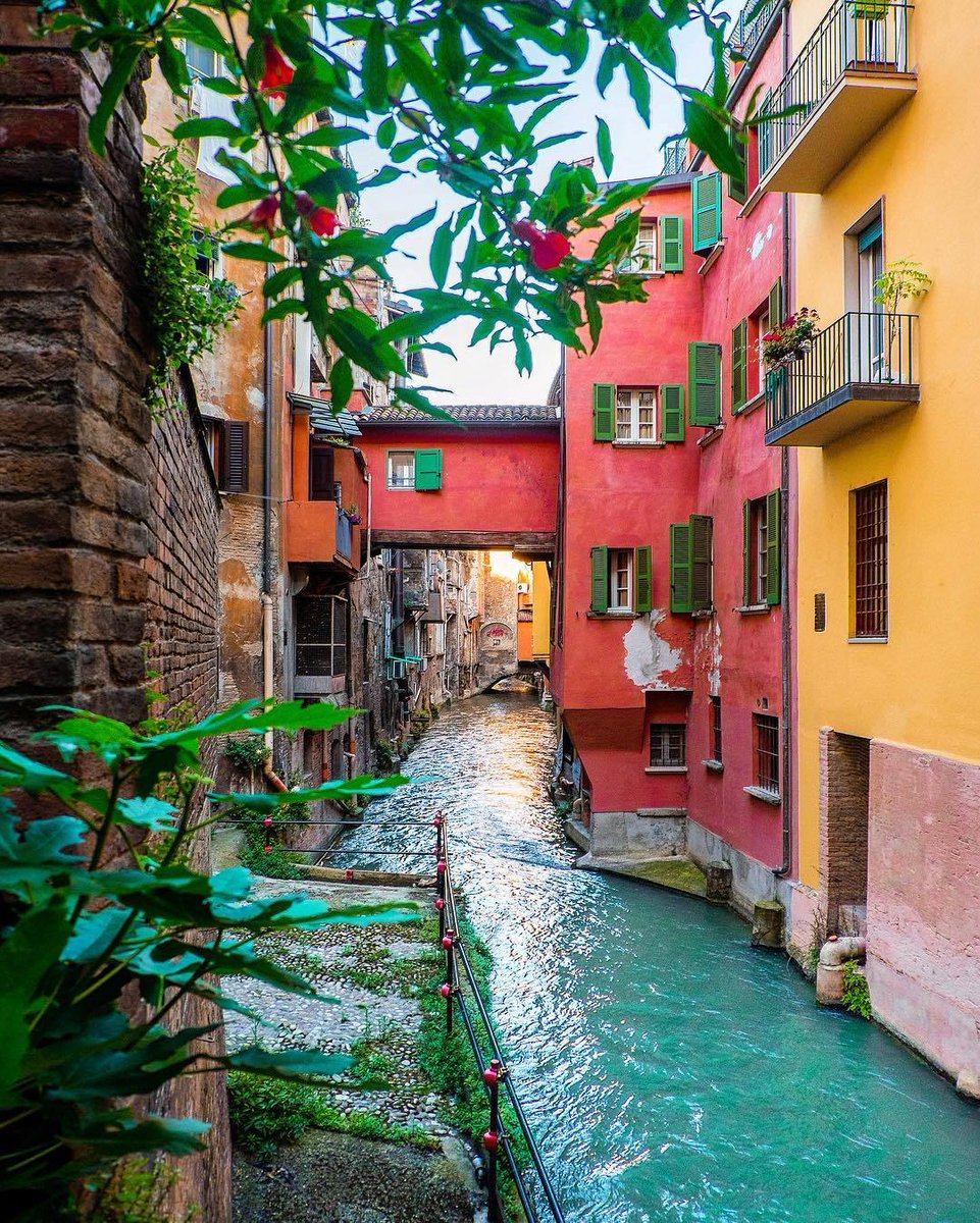 Colorful scenes in Bologna, Italy | Photography by ©dorpell on IG
