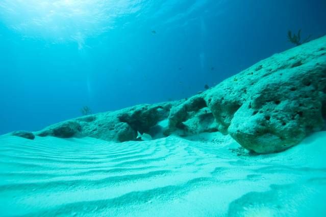 Researchers create computer model to study bacterial growth in the #deepsea. buff.ly/2oa81nJ #deepsea