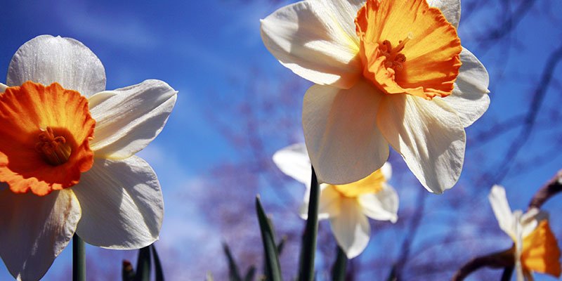 Vrije dagen rond Pasen, hoe zit dat? ow.ly/cdaq30aKREP via @metpersoneel