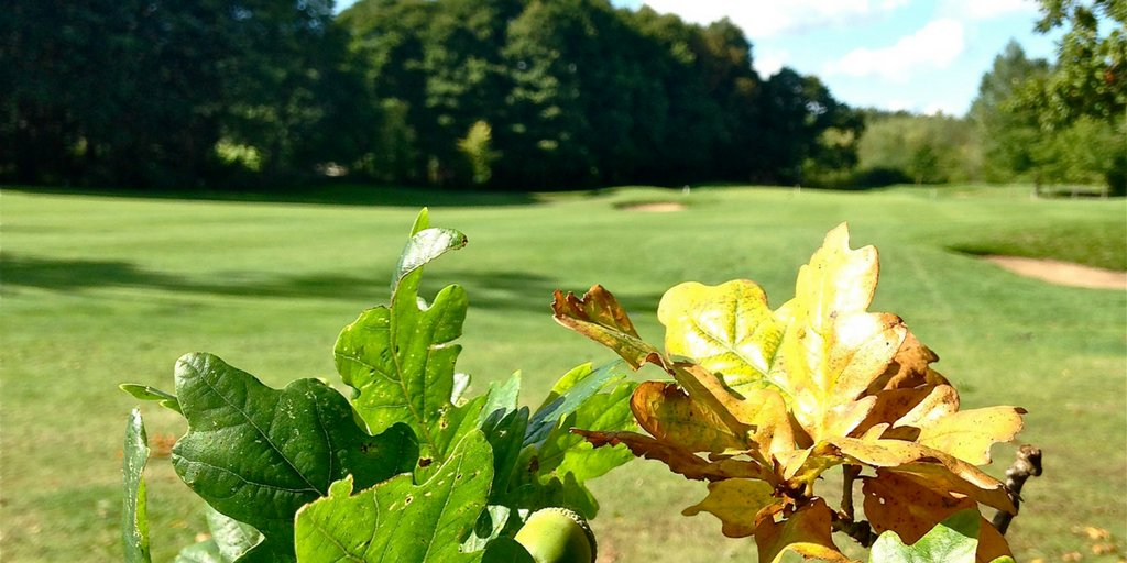 What a day to play a round! Spring Saver Golf from £29.00. Tea/Coffee and sandwich included > bit.ly/SpringSaverGolf