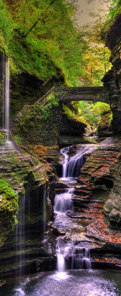 5_Rodon's tweet image. 