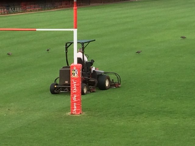 KingEdVIISchool's tweet photo. #KESFest Oom Frik hard at work making sure the Reds Main Field turf is ready for action come Thursday #SBSchoolsFest #TeamRedStrong https://t.co/3B2ciVG3Ix