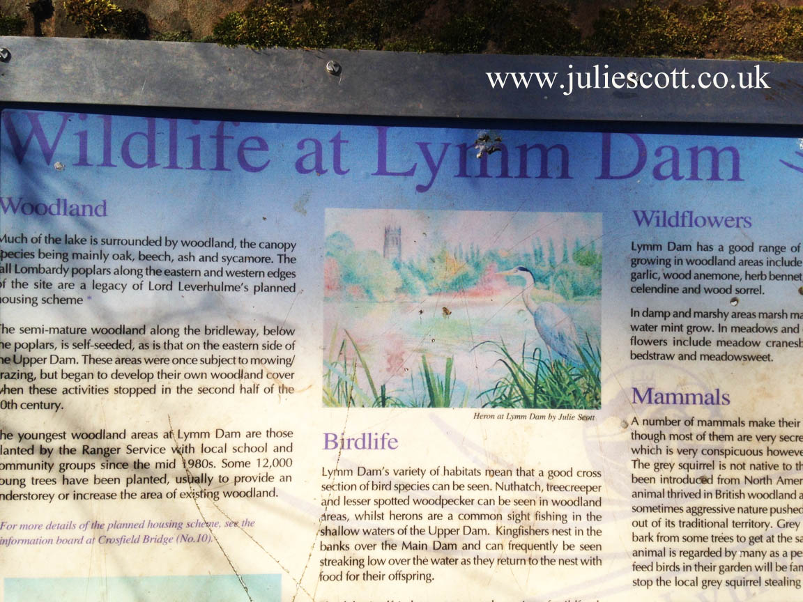 Julie Colclough Gallery tweet media