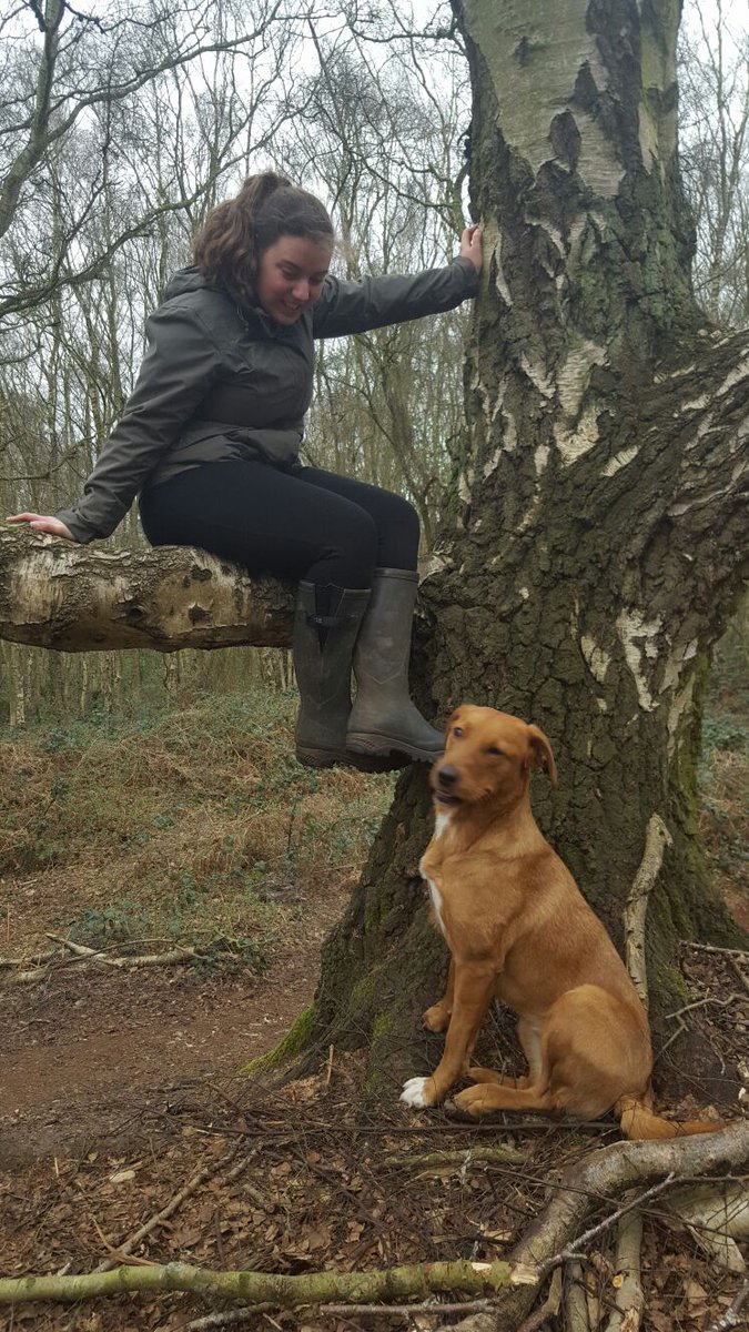 Dani Chatten tweet media