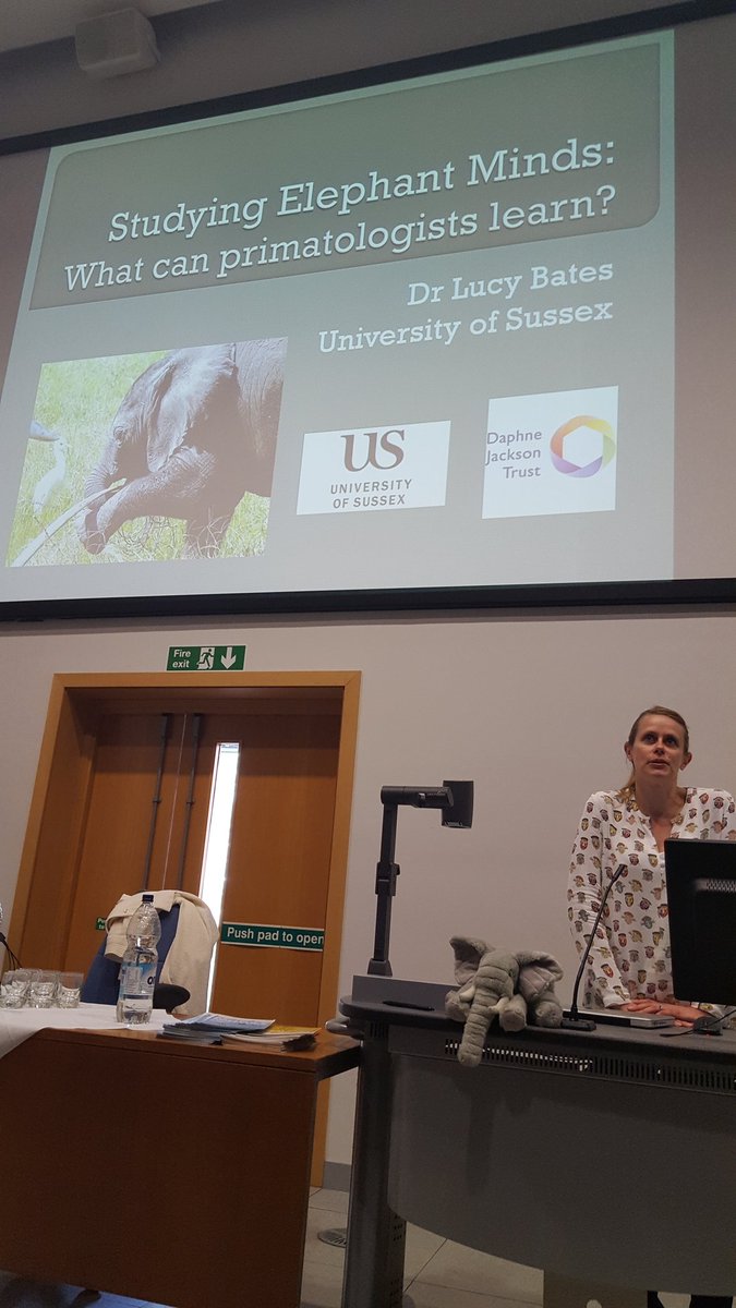 What is the relevance of #elephants to an audience of #primatologists? asks Dr Lucy Bates <a href="/PrimateSociety/">PrimateSocietyGB</a> #psgbmcr, aided by <a href="/ArchietheEle/">ArchietheElephant</a>