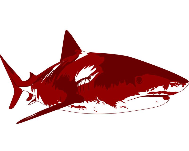 Hackingloops's tweet image. How to Use Wireshark hackingloops.com/how-to-use-wir…