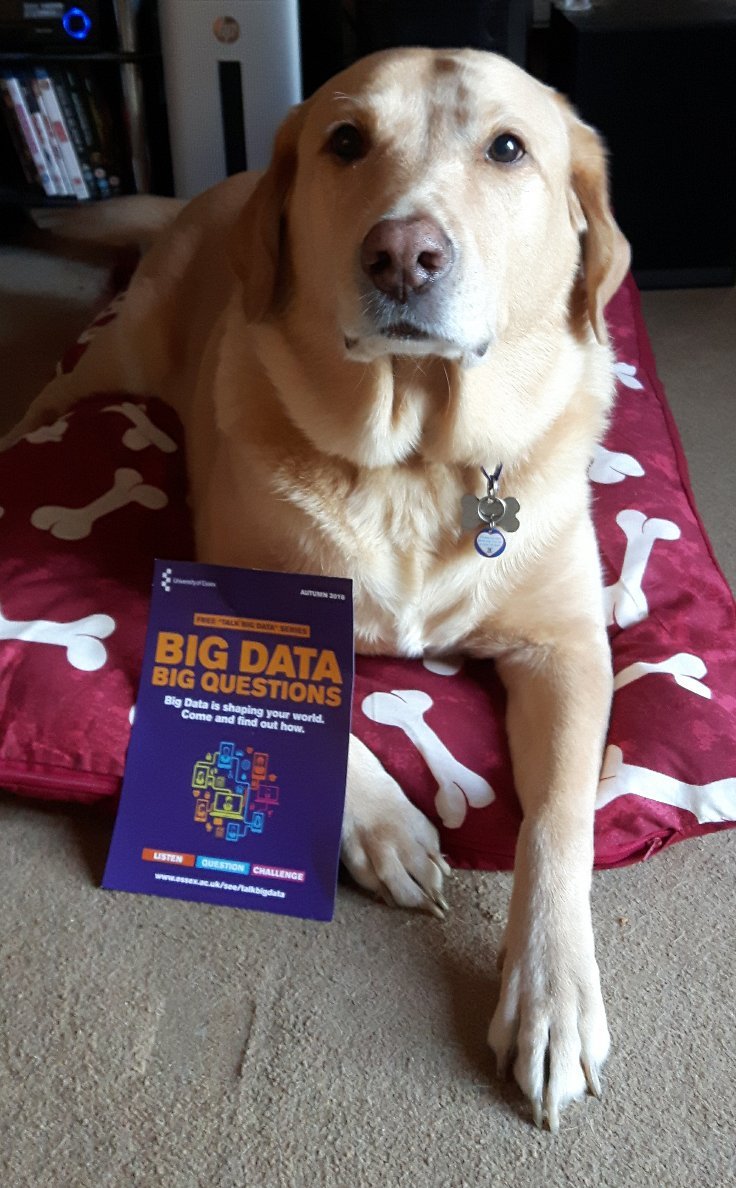 BLGDataResearch's tweet photo. On #NationalPetDay we look back to when @freddie_dawg and @Campus_Cat kindly helped us to promote #TalkBigData at @Uni_of_Essex https://t.co/TELIbD8C6u