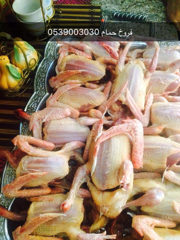 ffffffflllllll1's tweet photo. #مقناص_الساحل

#فروخ_حمام فرنسي ابيض او سلفر
    "للاكل"
الذبح على الطلب
الموقع الرياض 
كما يوجد مناديب توصيل
للتواصل
ابو سامي
0539003030 https://t.co/ZnVwe6641F