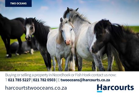 TwoOceansRealty's tweet image. Enjoy the new week.#Noordhoek #HarcourtsTwoOceans