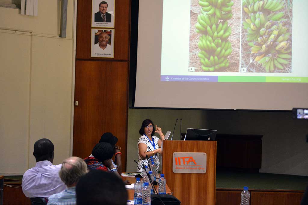 IITA_CGIAR's tweet photo. Leena Tripath(IITA) talks on Role of genetic engineering in crop improvement
#Breeding4GC @CGIAR @RTB_CGIAR https://t.co/mJoNcKVYiF