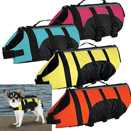 pug_mummy's tweet photo. Pug Apparel Feature - Week Five  https://t.co/LmqkIrh2kn
Let's think about your dog's safety.
#puglife #pugs #pugchat https://t.co/r2k2pXuV34