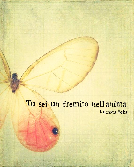 LucreziaBeha's tweet photo. #fremito #anima #brivido #emozione https://t.co/xNRTW6POUz