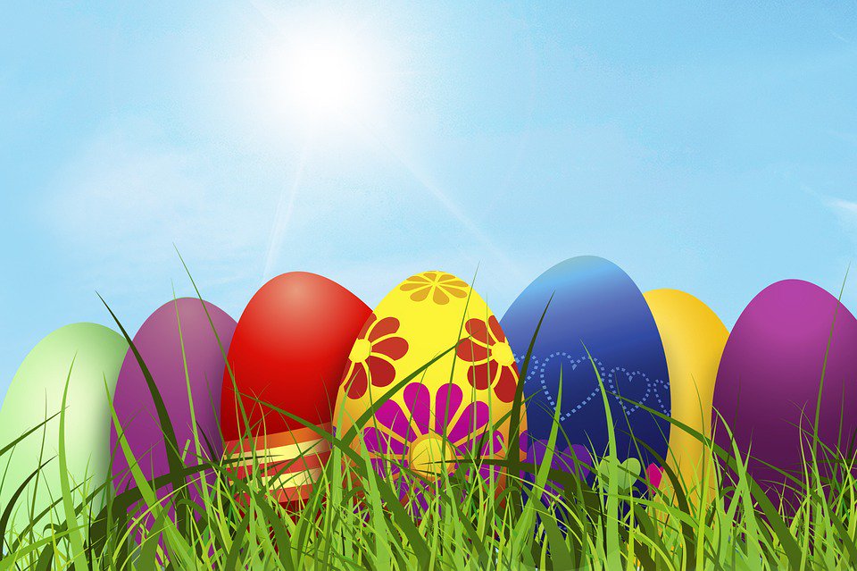 We are closed on 14th April 2017 &amp; 17th April 2017. We are open from 9.30am - 3pm on 18th April onwards. Emergency contact on 01782 392355.