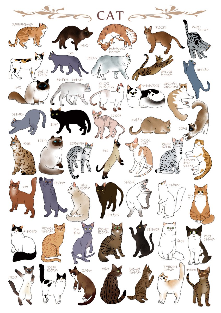 なんなんな Sur Twitter アートフェスタ作家紹介 西岡おそら 猫のイラスト 描いています ポストカード シール キーホルダー ブローチ トートバッグ等身近な生活の中で楽しんでいただけるような作品を展示販売しています 血統種 から雑種までとにかく猫なら