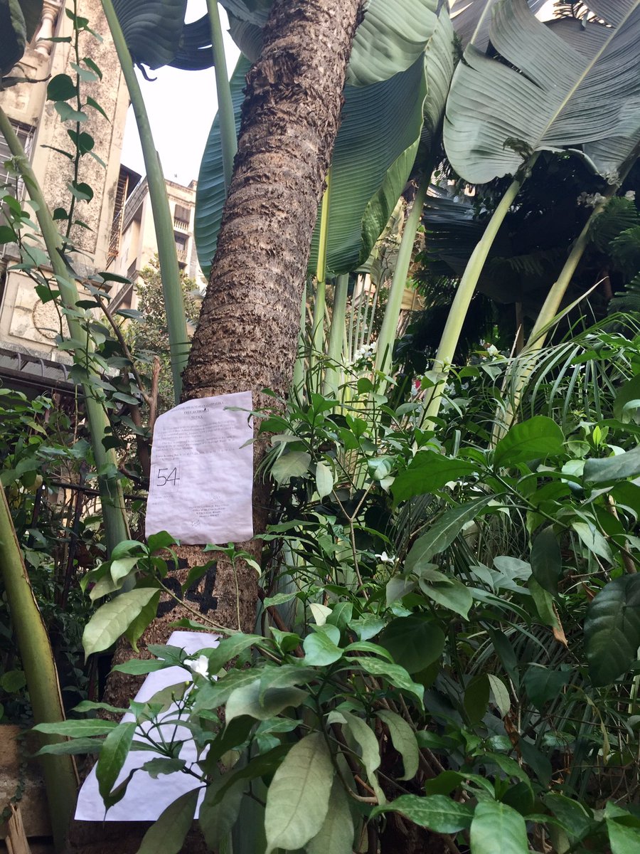Chemburstudio's tweet image. More trees get notices of capital punishment from BMC for no reason.. Come out to stop them @saveaarey save #GhatlaVillage #Chembur 🌳🌴🌲🌿🌳🌲🌴