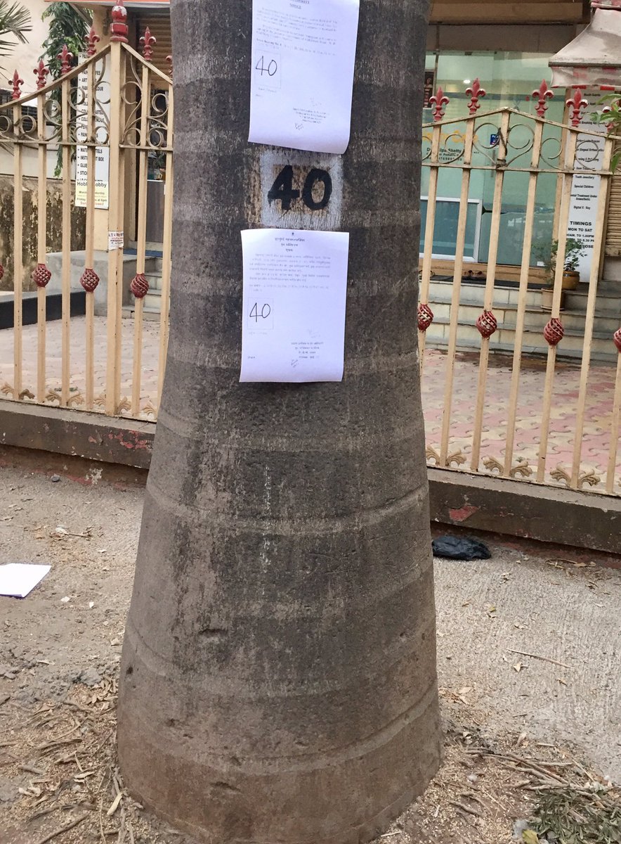 Chemburstudio's tweet image. More trees get notices of capital punishment from BMC for no reason.. Come out to stop them @saveaarey save #GhatlaVillage #Chembur 🌳🌴🌲🌿🌳🌲🌴