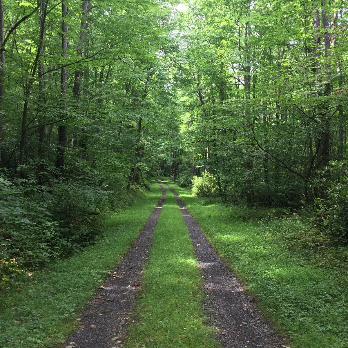 GAP_Trail's tweet image. Where are you planning to Bike this week? #GAPTrail #C&amp;amp;Ocanal #Ride335