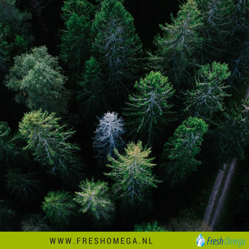FreshOmega3's tweet photo. De kans op ADHD, dyslexie, hart- en vaatziekten etc. is groter als omega-6/omega-3 vetzuren niet in balans zijn. https://t.co/JBIMKy0JjA https://t.co/kFZzmGm94w