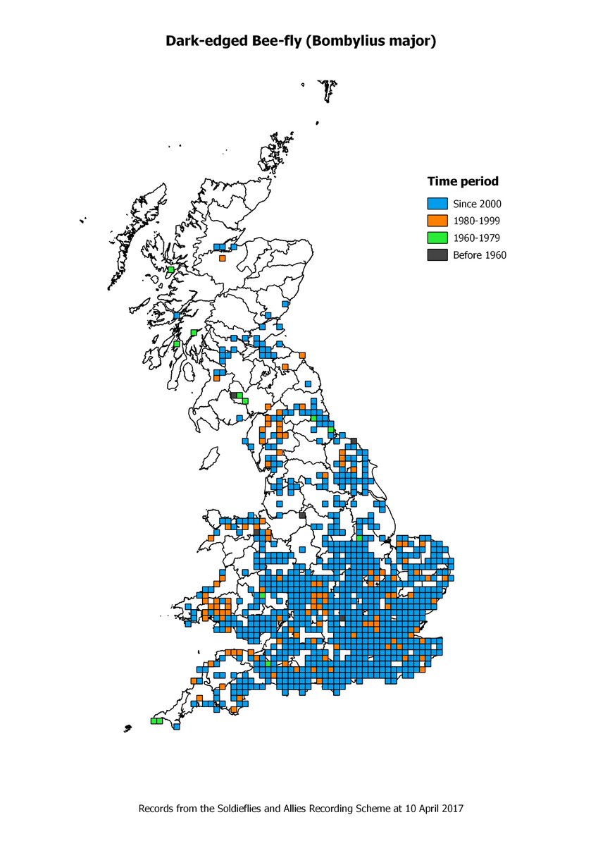Thanks for all the lovely records! Bee-fly Watch update with maps now at: brc.ac.uk/soldierflies-a… Keep sending the records via iRecord!