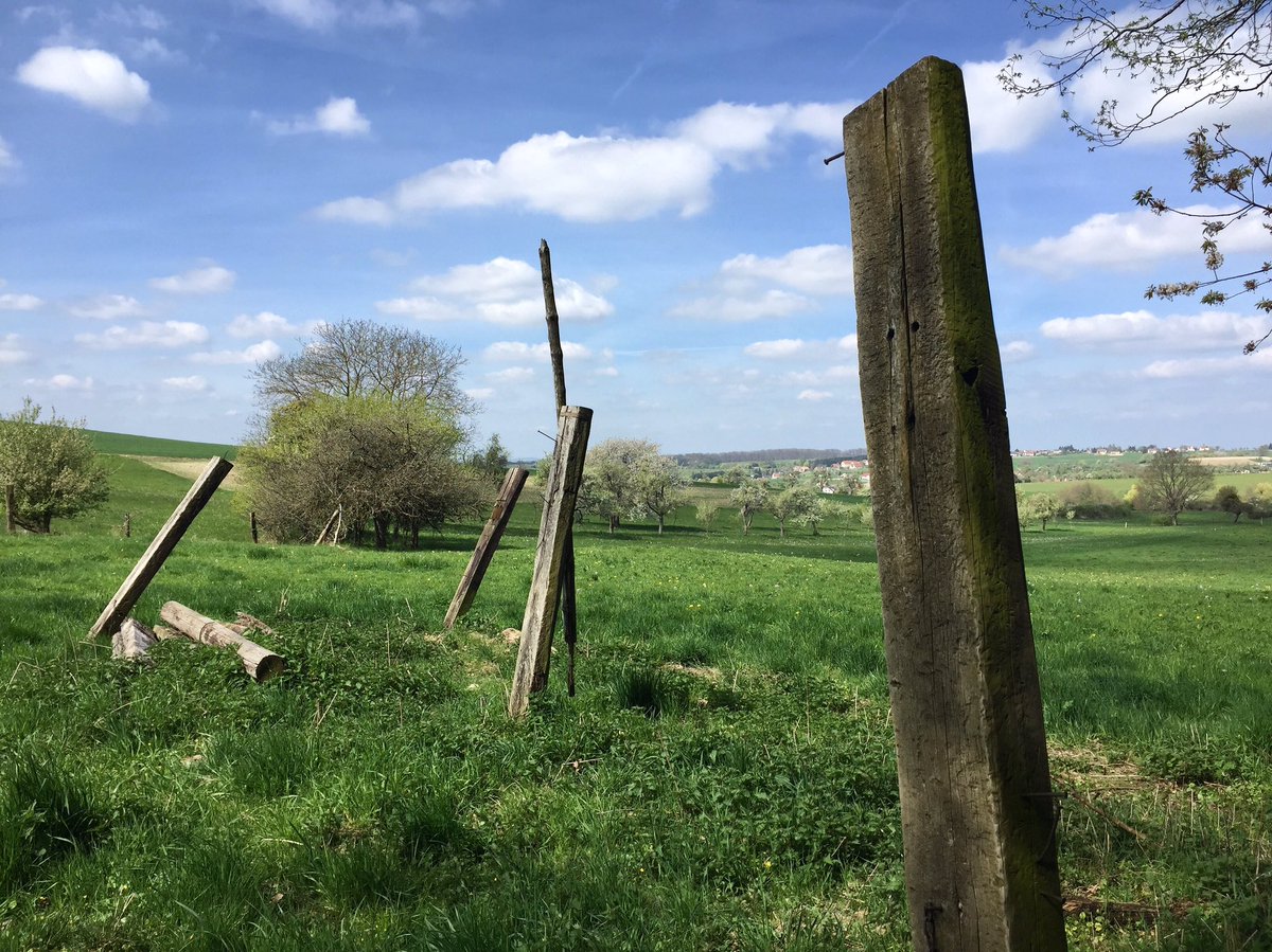 valentin_alt's tweet photo. Scouting the location today! #cinematography #fields #valentinalt - Valentin Alt https://t.co/YJrY6DfASo