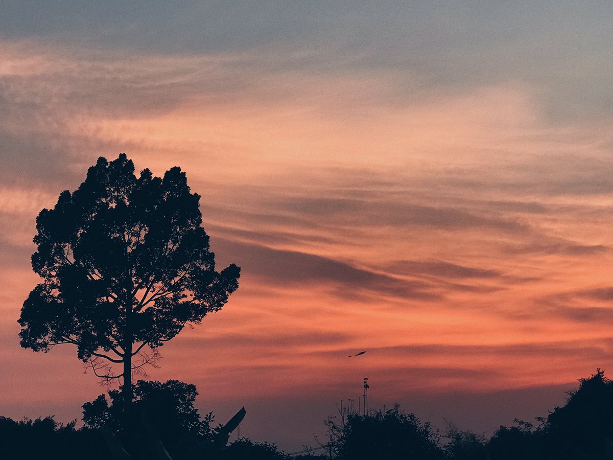 mqmypp's tweet photo. ยังคงมองฟ้าอยู่ทุกวัน 🌥 https://t.co/bLupwRvCSx