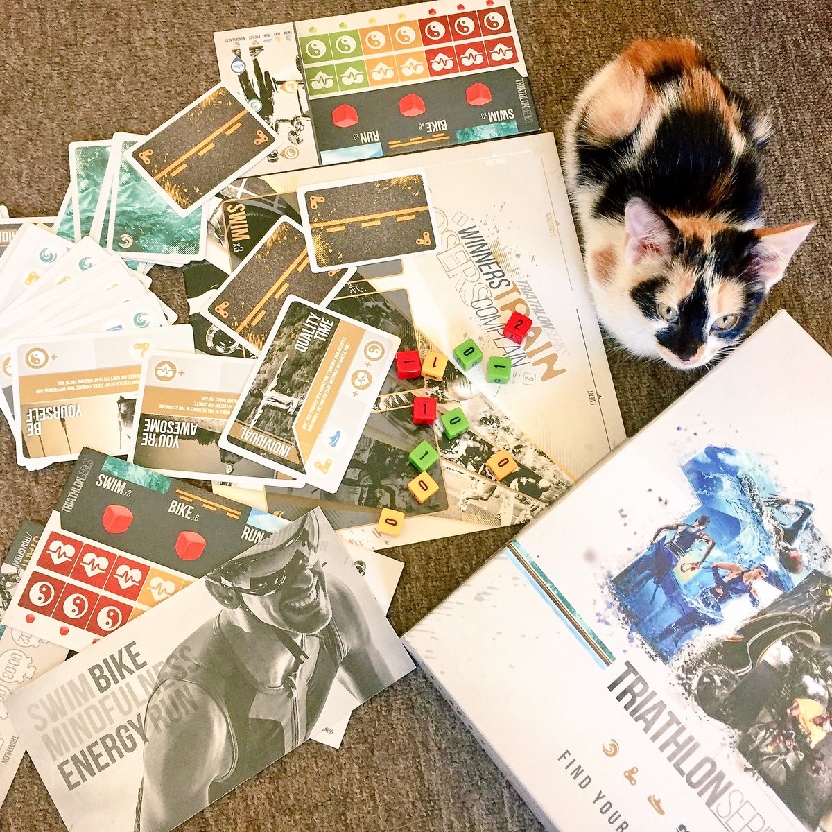 AfterRaceGames's tweet image. Celebrating Pet Day:) #triathlonseriestheboardgame #trilife #trifun