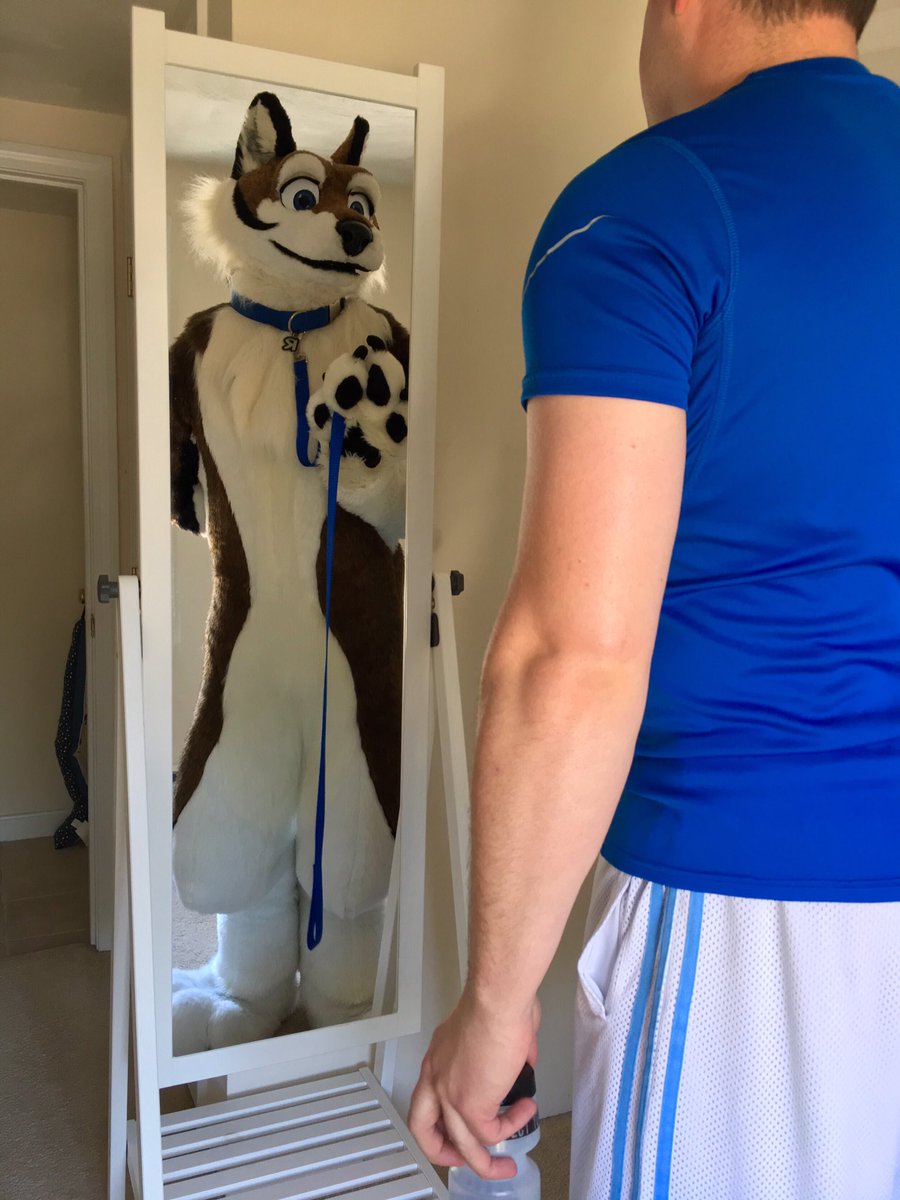 Reyndog tweet media