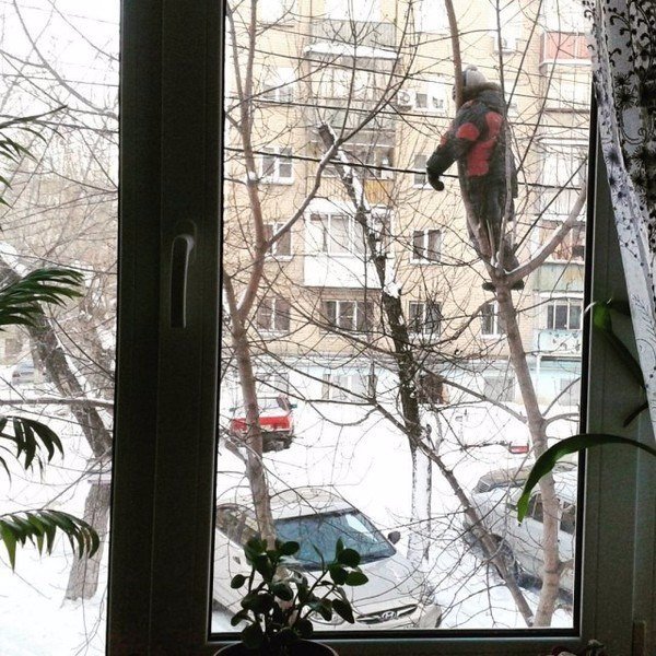 best_fact's tweet photo. — Мам, я пойду погуляю?
— Хорошо, но чтобы я тебя видела! https://t.co/FgwMfyxZLJ