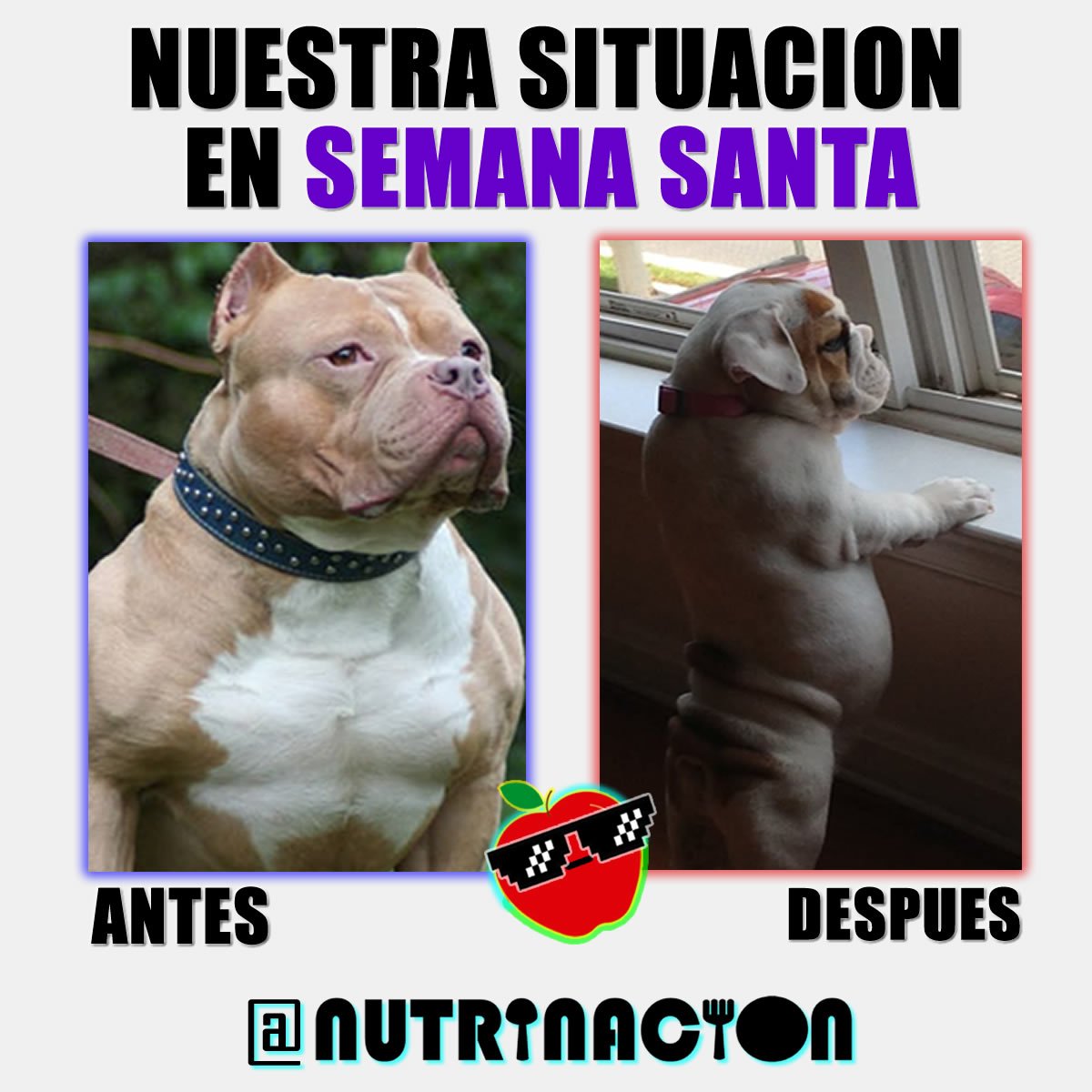 NUTRINACION On Twitter NUTRIMEME DIETZONE NUTRINACION Humor