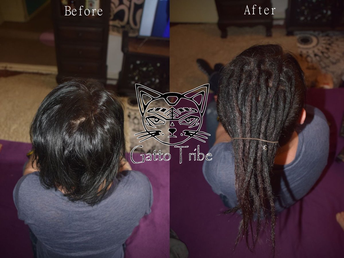 Gattotribe Dreads On Twitter Gestern Stand Eine