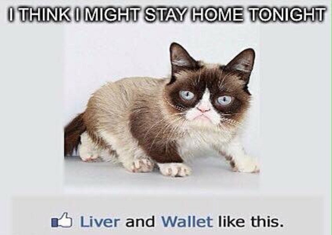 what_da_florida's tweet photo. #grumpycat #grumpiercat #grumpy4life #tardarsauce #jesuisgrumpy https://t.co/D8AuY4zRIx