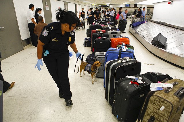 While our #K9’s are working dogs and not pets, they are a part of our #CBP family and we love them all the same. #NationalPetDay