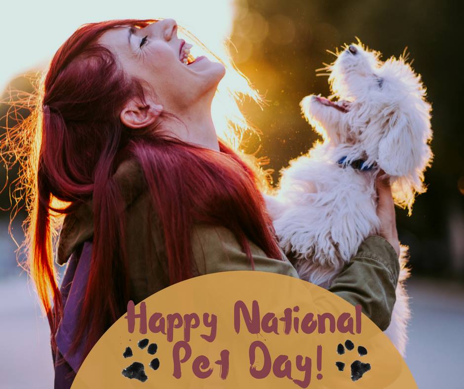 9NEWS's tweet photo. USA Today staff shares the names they chose. Tell us your animal's name and share a pic. Use #9pets https://t.co/3QQLtos2Pc https://t.co/uWuHZ96DnK