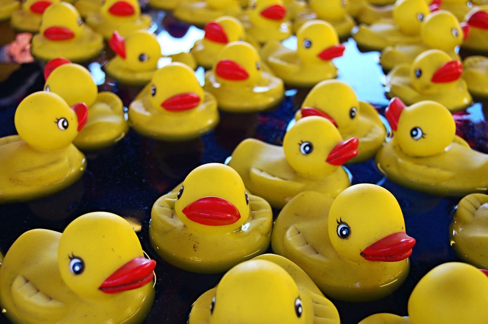 Hallmark Hotels (@hallmarkhotels) on Twitter photo Itโs the Manchester Annual Duck Race on #GoodFriday. Stay at <a href="/HallmarkHotels/">Hallmark Hotels</a> Manchester South and save up to 35% hallmarkhotels.co.uk/offers/hotel-oโฆ Itโs the Manchester Annual Duck Race on #GoodFriday. Stay at <a href="/HallmarkHotels/">Hallmark Hotels</a> Manchester South and save up to 35% hallmarkhotels.co.uk/offers/hotel-oโฆ