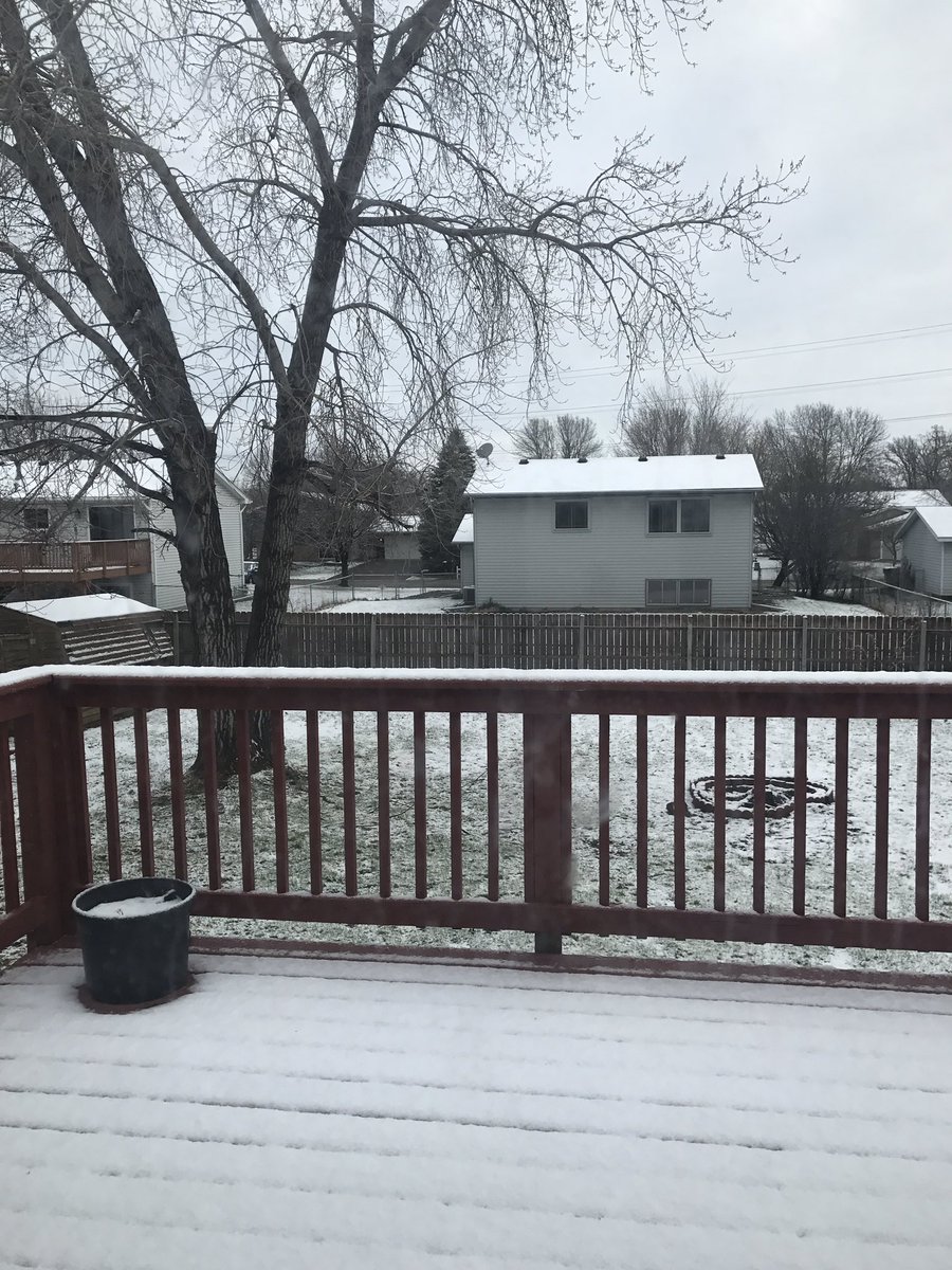 balanced_t's tweet image. And this is why we're moving. Good morning. #balancedtherapies #chandaHin #minnesotaWeather