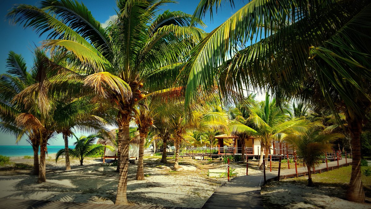 CubaontheRoad's tweet photo. It's time to go to #CayoLevisa !!!😎👣💑👨‍👨‍👧‍👧⭐️ https://t.co/1utUMmAoT3