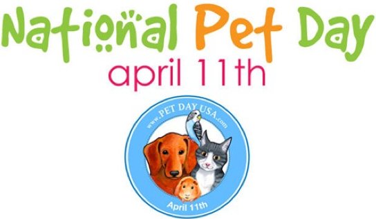 DelMarVet's tweet photo. Happy National Pet Day!!!! Though, we feel this should be everyday. #fearfree #nationalpetday #lovethem #delmarvet https://t.co/vRYbknd8jA