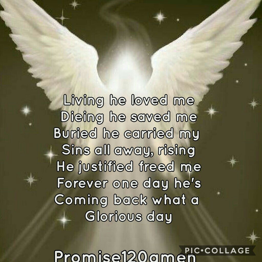 120prom's tweet photo. @trinitysfaith @NewLoboUnoOne1 @GregPettys https://t.co/4WZCyCntCR