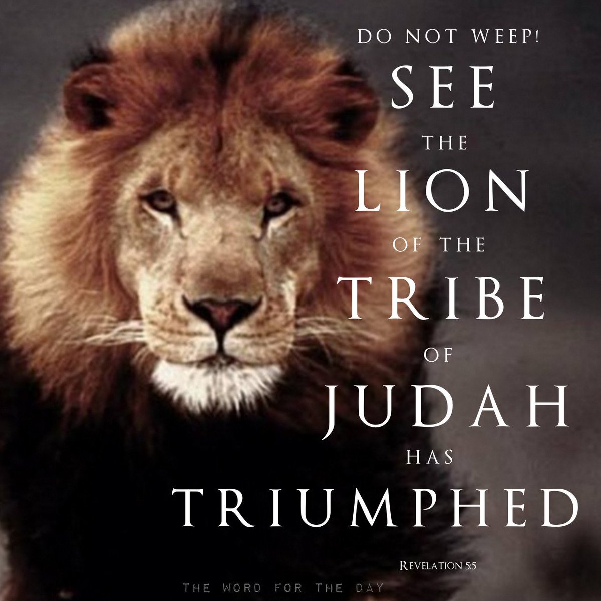 Strength In Faith tweet media