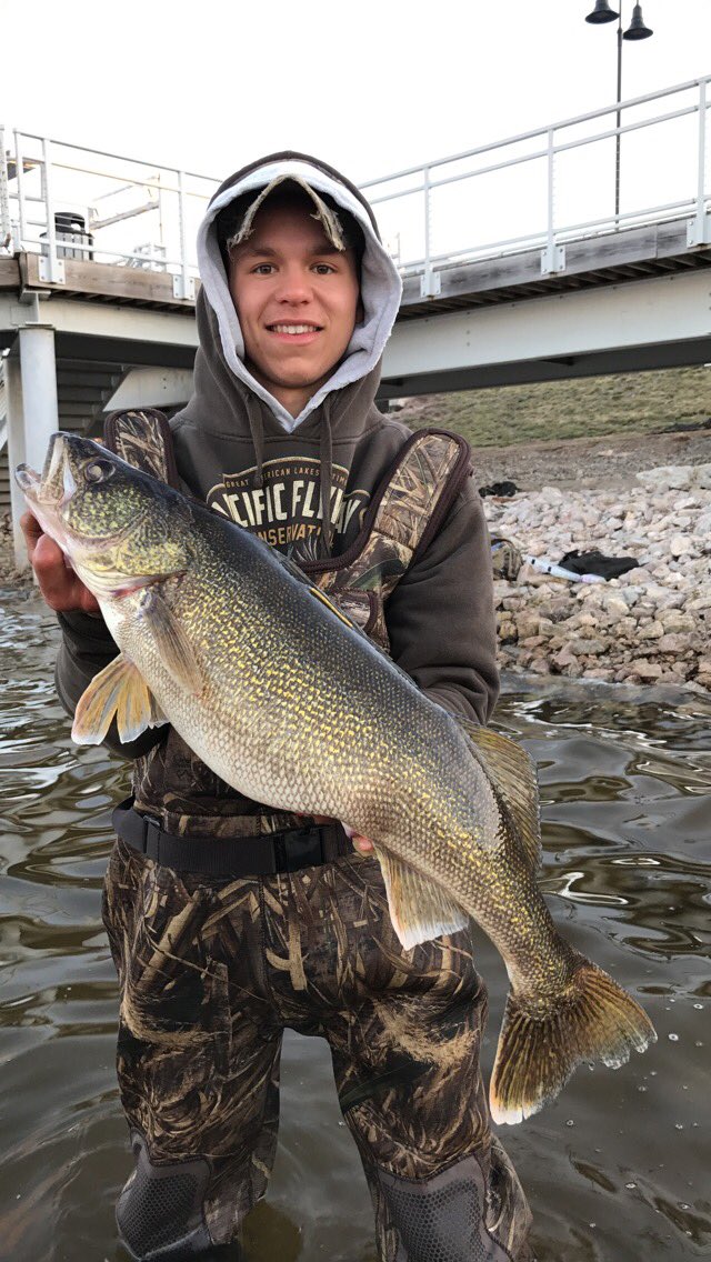 The boys have been hammering some monster walleyes this week.