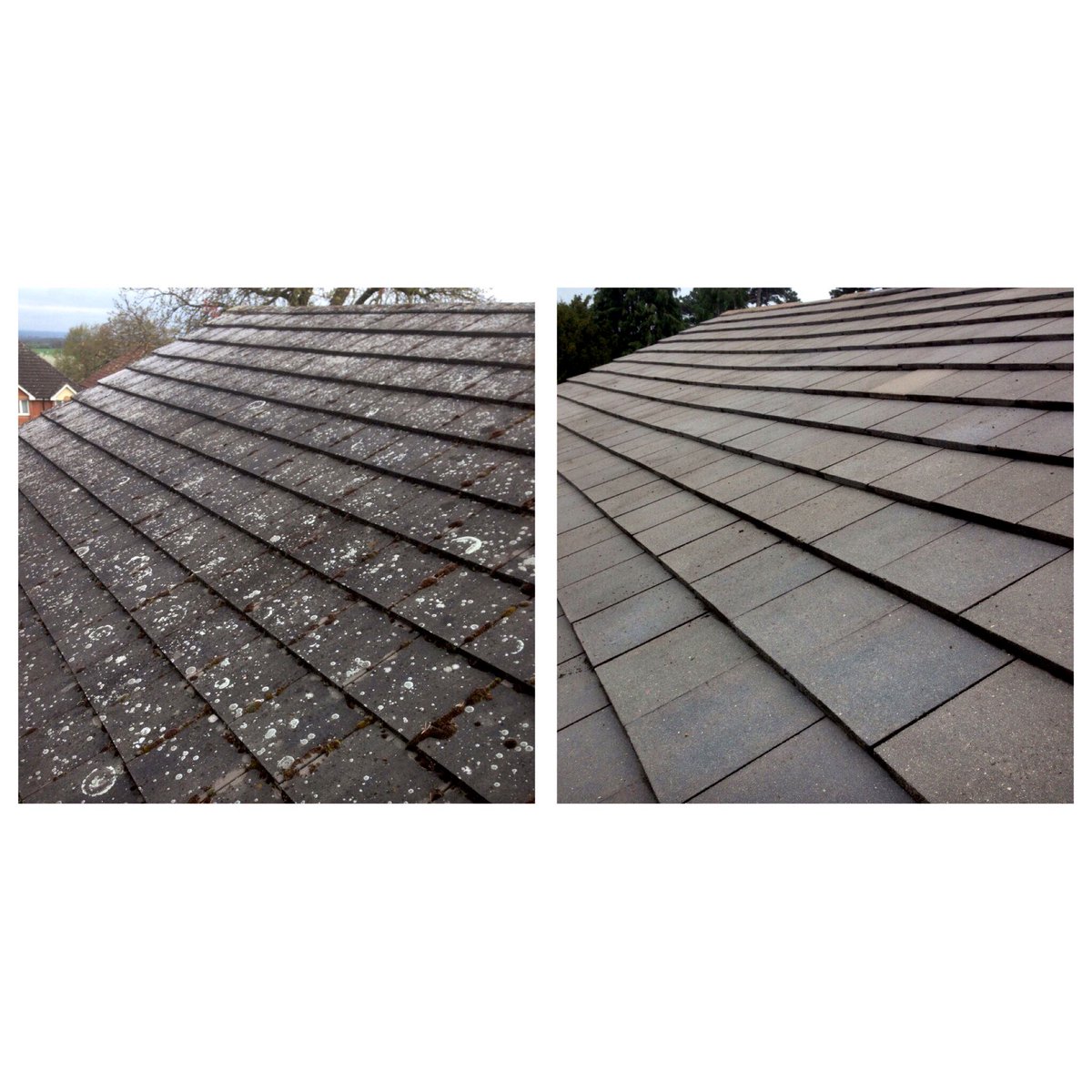 WindowCleaner4U's tweet image. Roof cleaning before &amp;amp; after pictures contact us for a FREE Quotation 07983 719626 / 01707 802301 
Fairmanswindowcleaning@gmail.co.uk