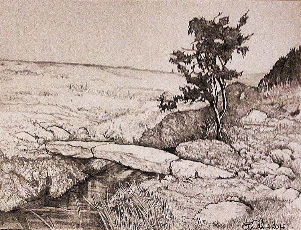 CobbinSteve1's tweet photo. @Dartmoor_Hour ...
My latest #Dartmoor doodles. Soon to be on sale at #Trios2017 expo in Tiverton along with other splendid art https://t.co/zhE6W0Ss4U