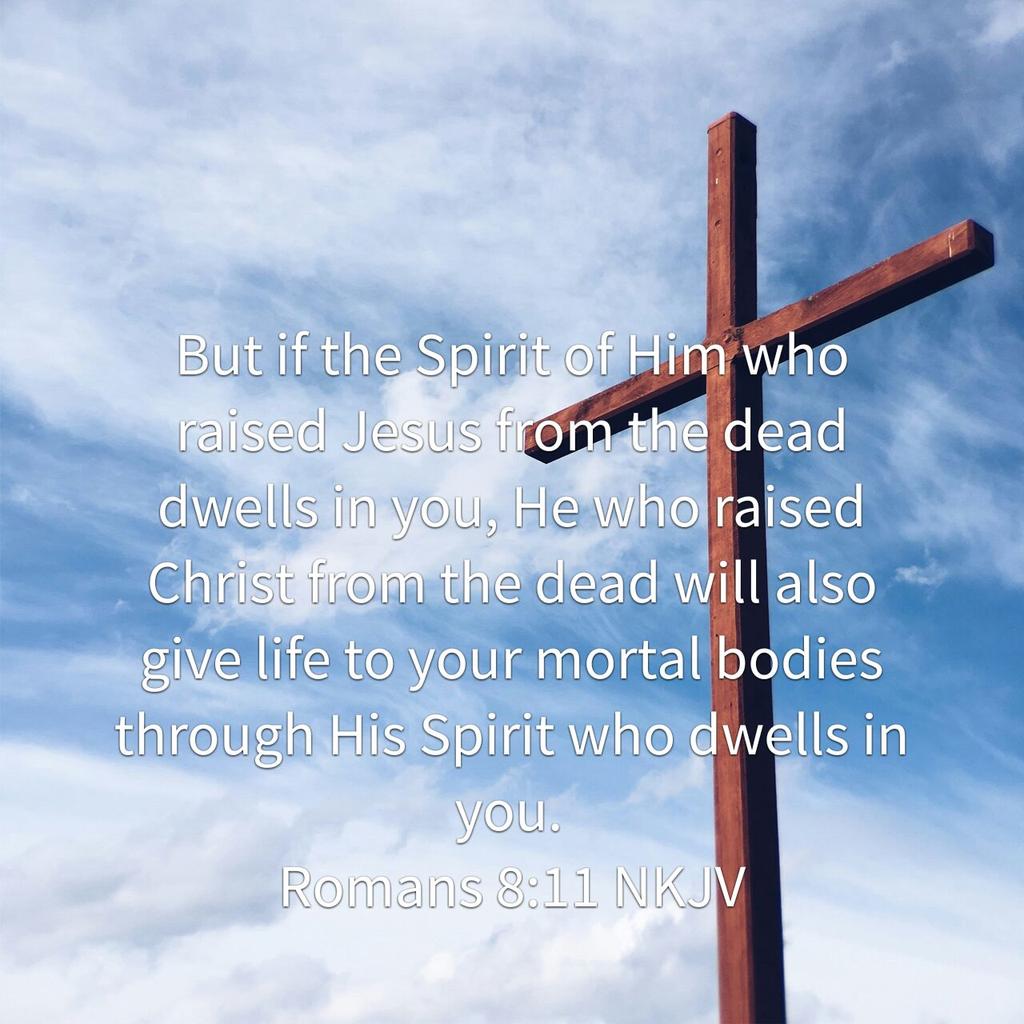 ChitaCollazo's tweet photo. But if the Spirit of Him who raised Jesus from the dead dwells in you, He who raised Christ from the dea… https://t.co/zLyrhwq6Il