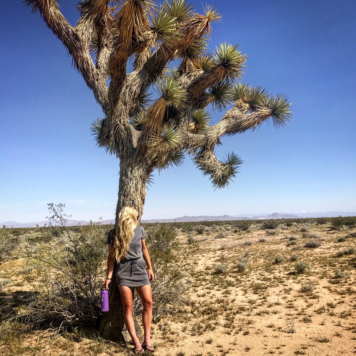 AMTetrick's tweet photo. Find your own desert places and let them grow. 🌞 @HydroFlask
•
•
•
#unexpectedrefreshment #roadtrippin #freedomfromlukewarm https://t.co/28uHnvpOeJ