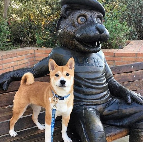 UCR AP Readiness (APReadinessUCR) Twitter