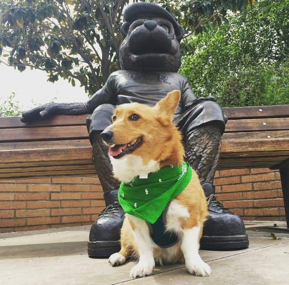 UCR AP Readiness (APReadinessUCR) Twitter