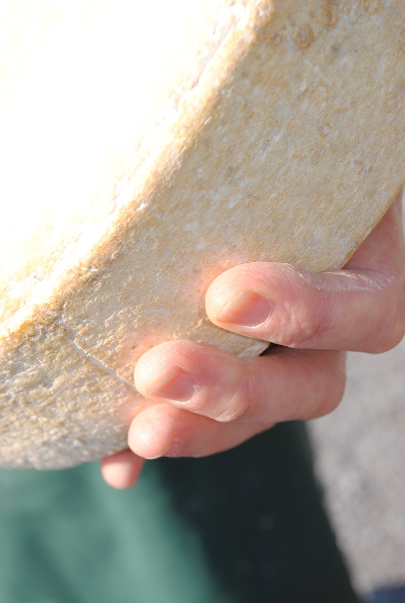 British Cheese Award (@britcheeseaward) on Twitter photo #cheesemakertakeover <a href="/CosynCymru/">Cosyn Cymru</a> They spend a considerable amount of time tending to the maturing cheeses. #cheesemakertakeover <a href="/CosynCymru/">Cosyn Cymru</a> They spend a considerable amount of time tending to the maturing cheeses.