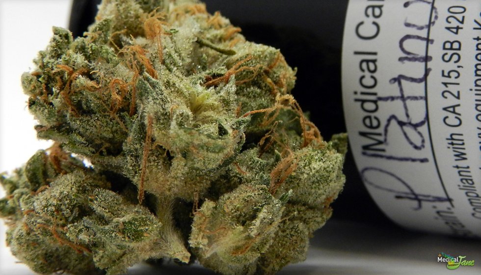 Society_420's tweet photo. | Platinum OG Kush | Indica Dominant Hybrid | Master Kush (Indica) X OG Kush (Hybrid) | #DailyStrain | #NugPorn | #HighSociety | #Dope | https://t.co/fWUgKWiWAq